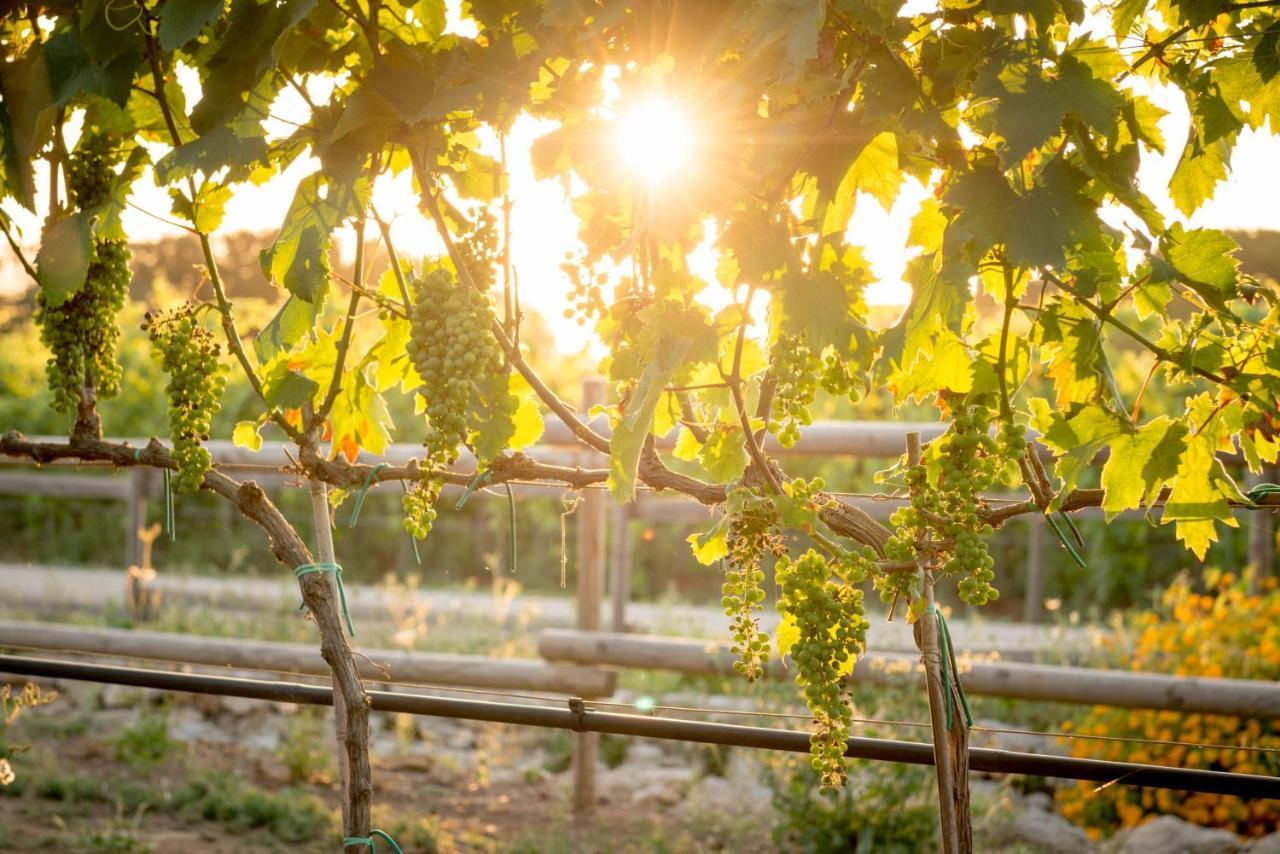 Agriturismo Vigna Corallo Otranto Esterno foto