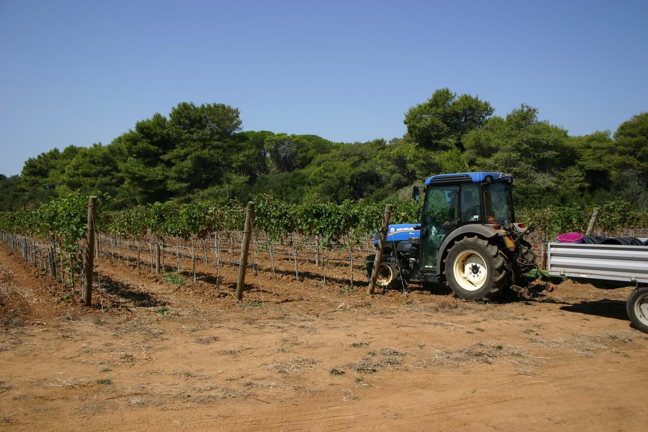 Agriturismo Vigna Corallo Otranto Esterno foto