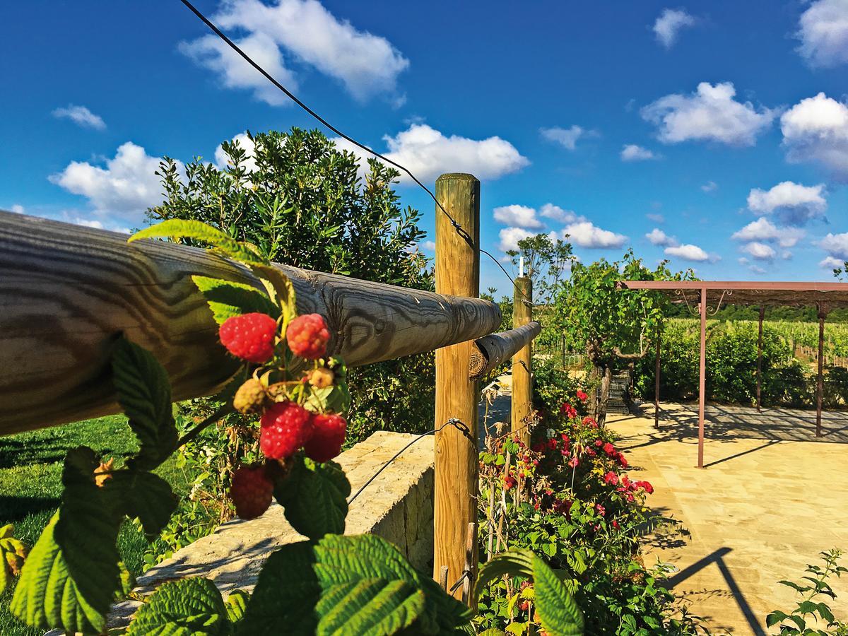 Agriturismo Vigna Corallo Otranto Esterno foto