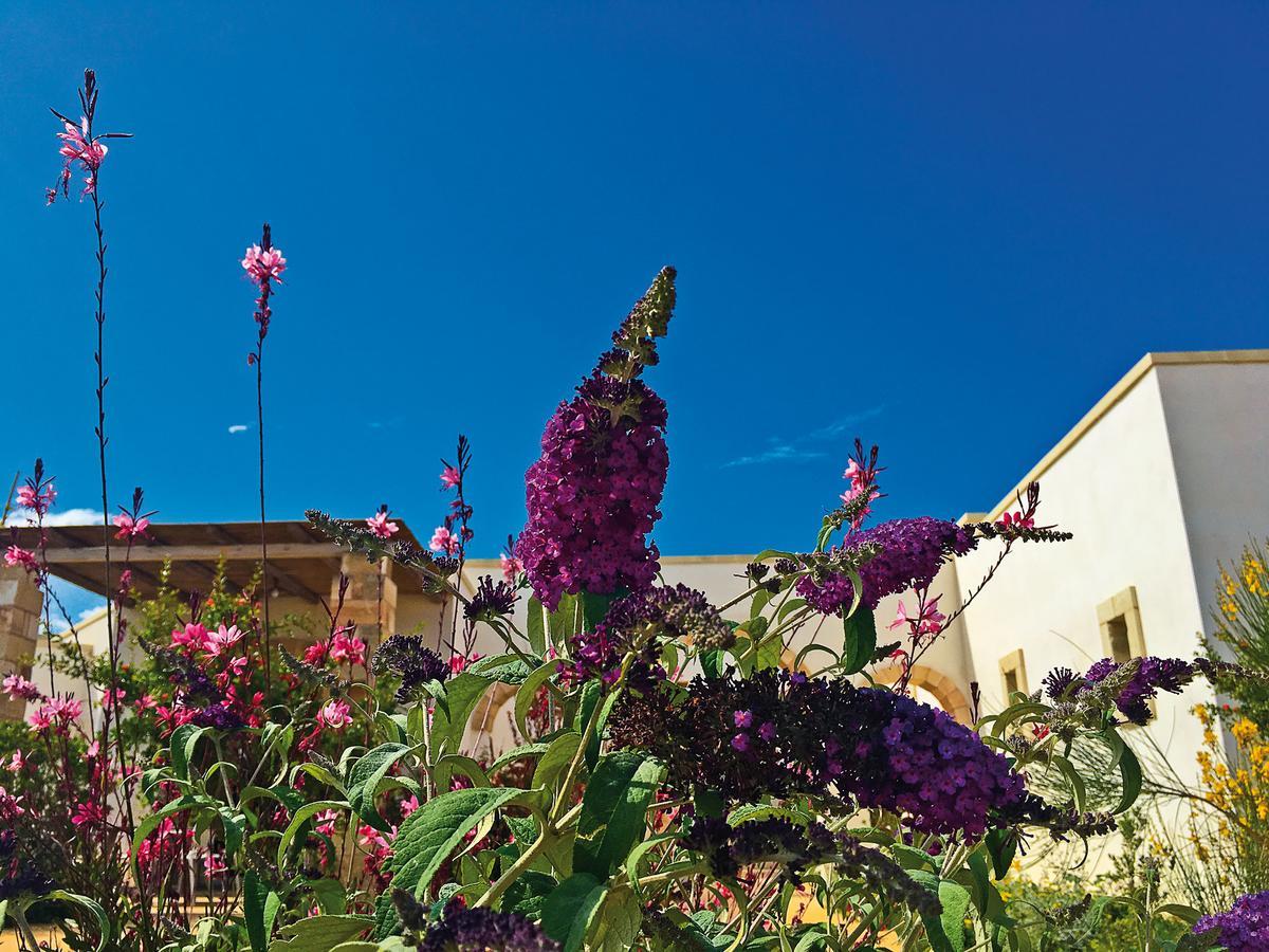 Agriturismo Vigna Corallo Otranto Esterno foto